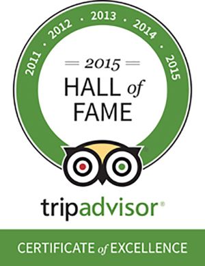 TripAdvisor Certificate of Excellence & Hall of Fame