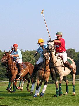 Newport Polo Opening Day