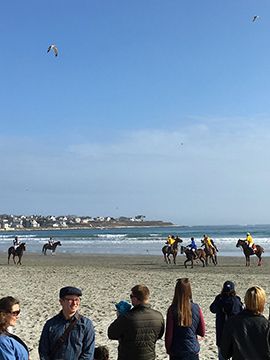 Beach Polo Match and Cocktail Event